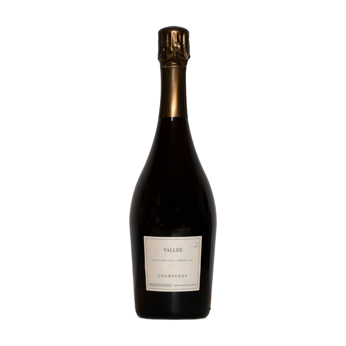 Les Monts Fournois Vallee 2014